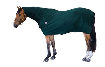TE032583_02_WO.jpg