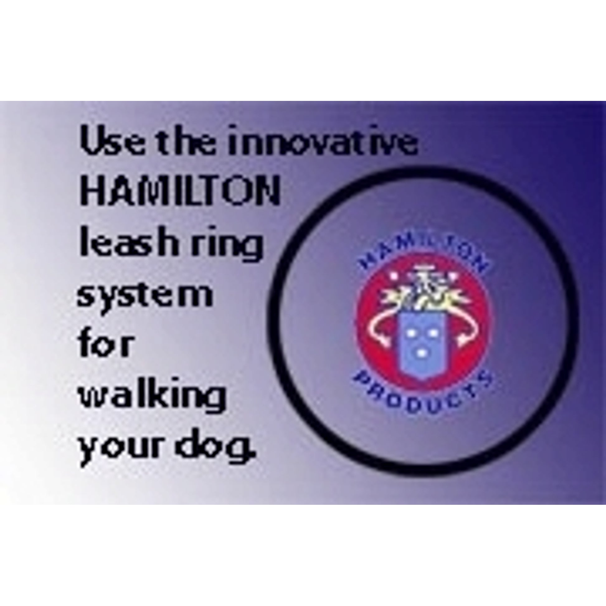 hamiltonadjringpic2.jpg